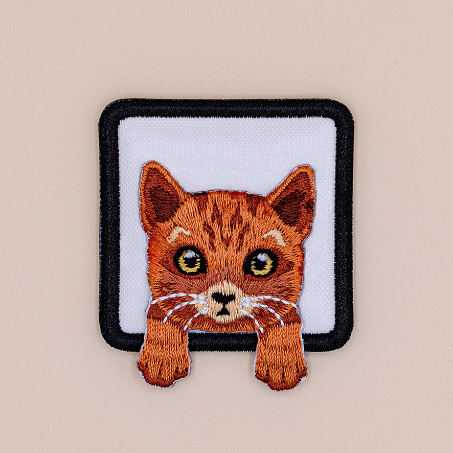 ORANGE CAT